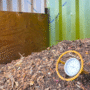 Protected: What Makes Good Compost: Process & Product