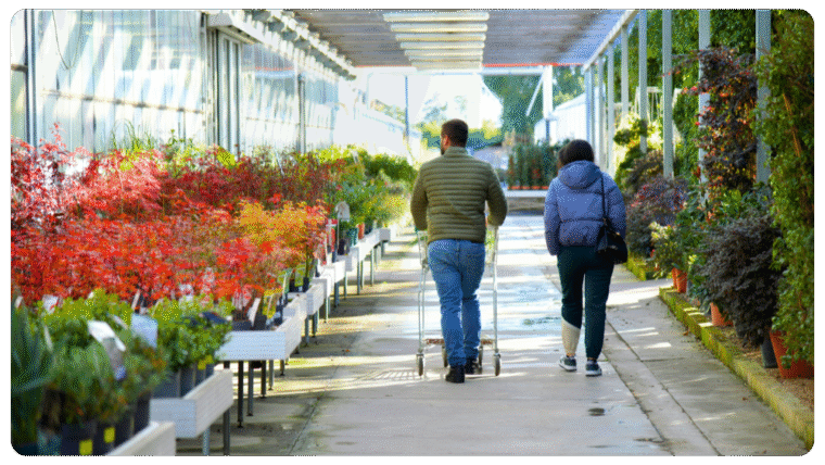 Shopping for Compost