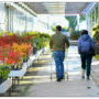 Shopping for Compost